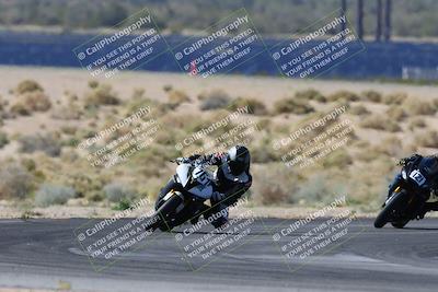 media/Apr-07-2024-CVMA (Sun) [[53b4d90ad0]]/Race 2 Supersport Middleweight/